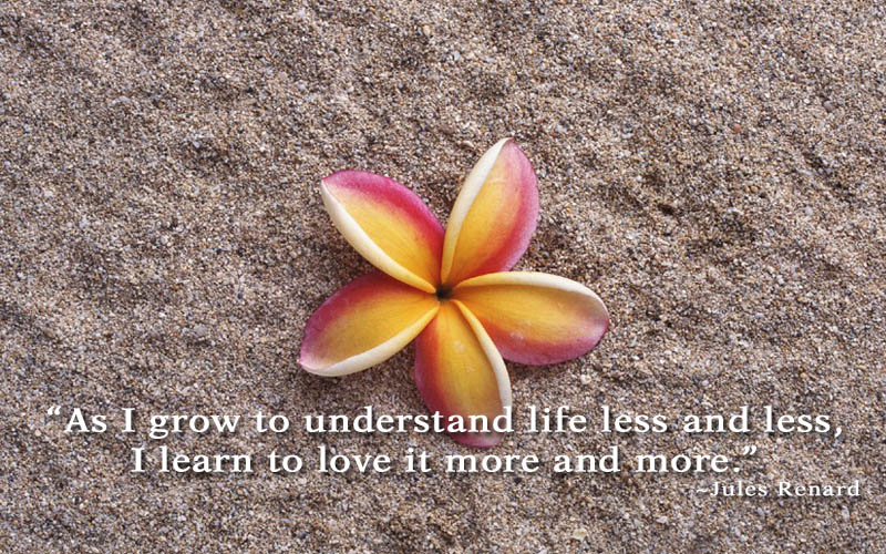 Mindfulness Based Cognitive Therapy (part 1)